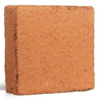 WhatsApp Image 2025-08-19 at 5.23.09 PM