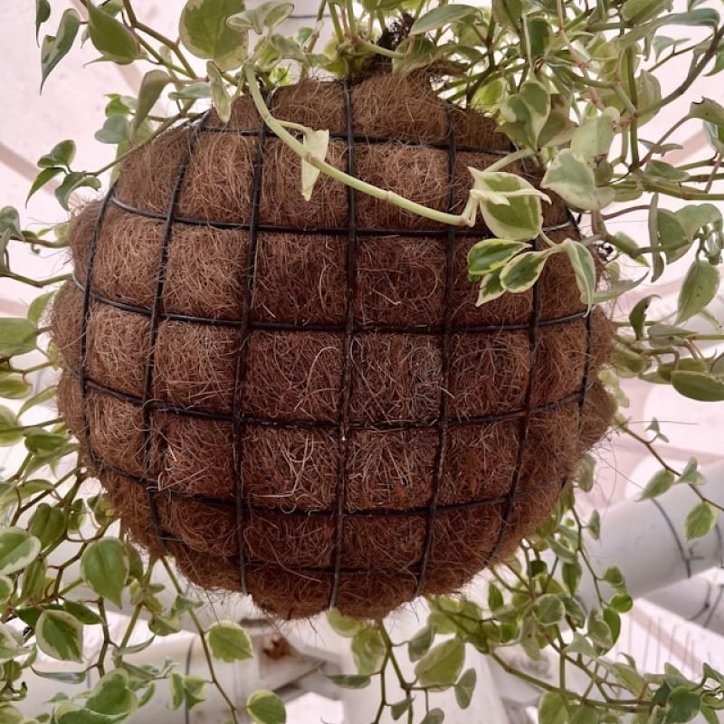 romeio-paul-TibvCNTw8Mc-unsplash (2)